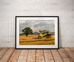 To buy a print or any of the below please click on the images